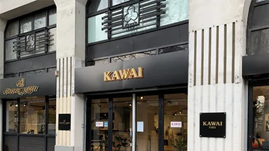 KAWAI FRANCE SAS