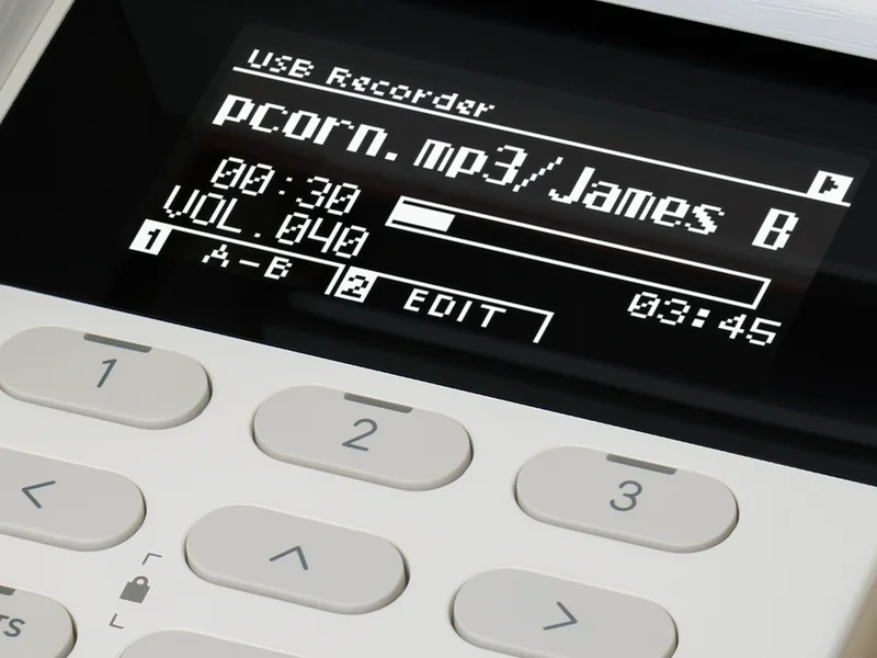 MP3/WAV Playback & Record