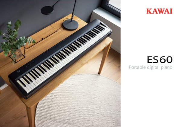 ES60 Brochure