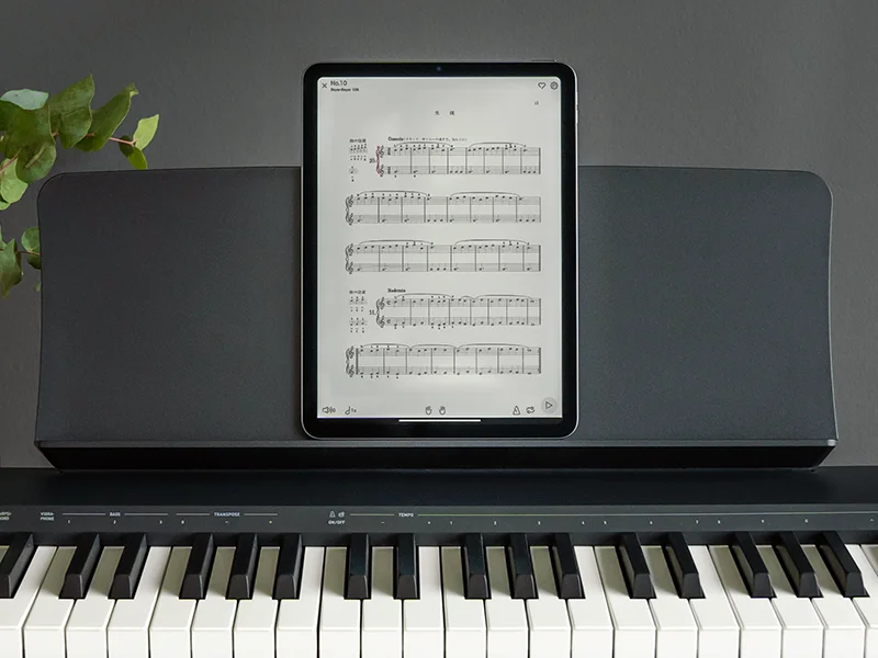 Aplikasi PiaBookPlayer