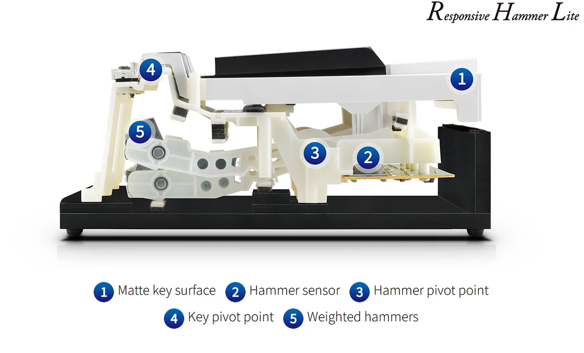 Aksi tuts Responsive Hammer Lite