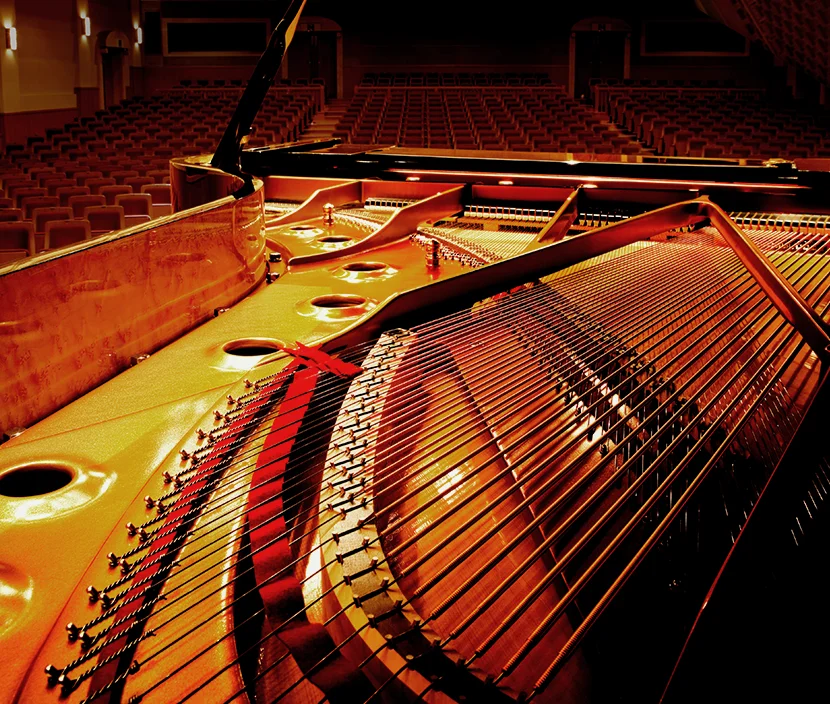 Tecnología Harmonic Imaging