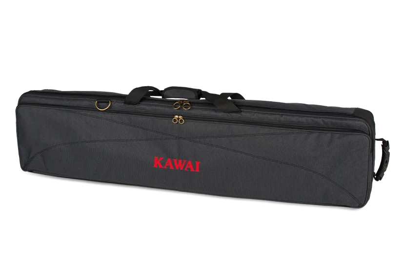 SC-2 padded gigbag