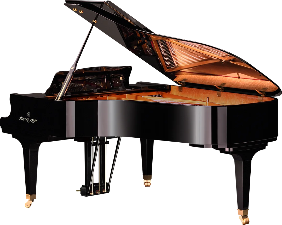 SK-6