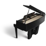 Ebony Polish