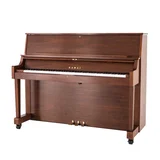 Walnut Satin