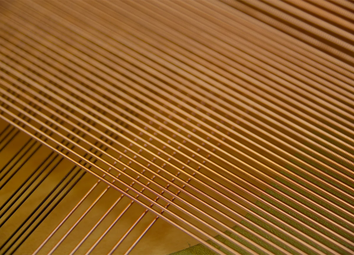 Gallery image 6