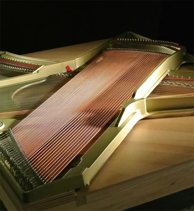 Tapered Soundboard made of Solid Spruce