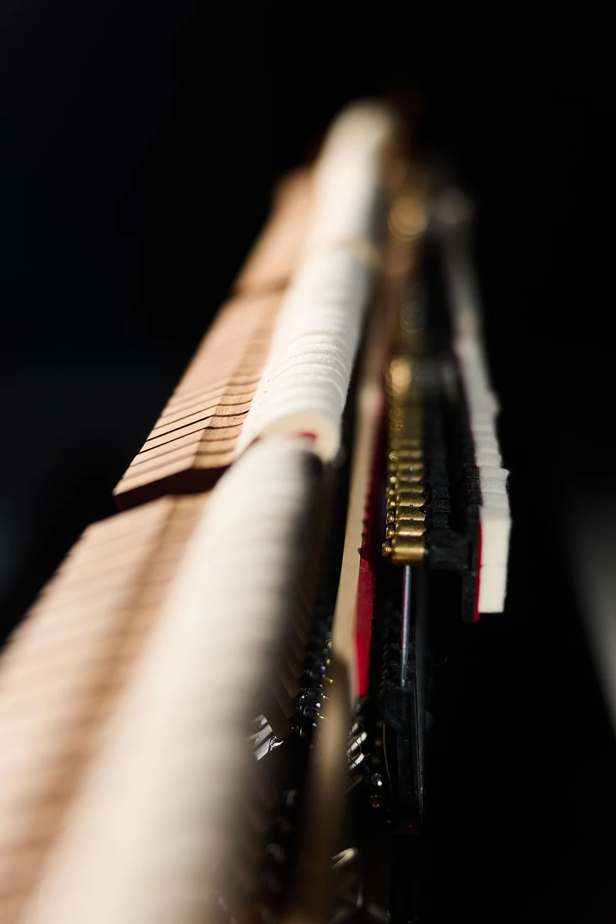 Mahogany wood core & T-stapled, double felted hammers