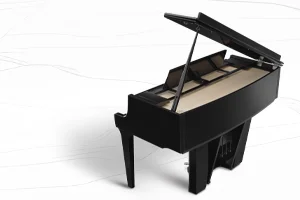 Hybrid Pianos